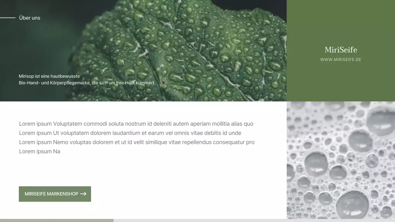 Einreichungsvorschlag für ein grün-beiges naturalistisches Seifenkonzept