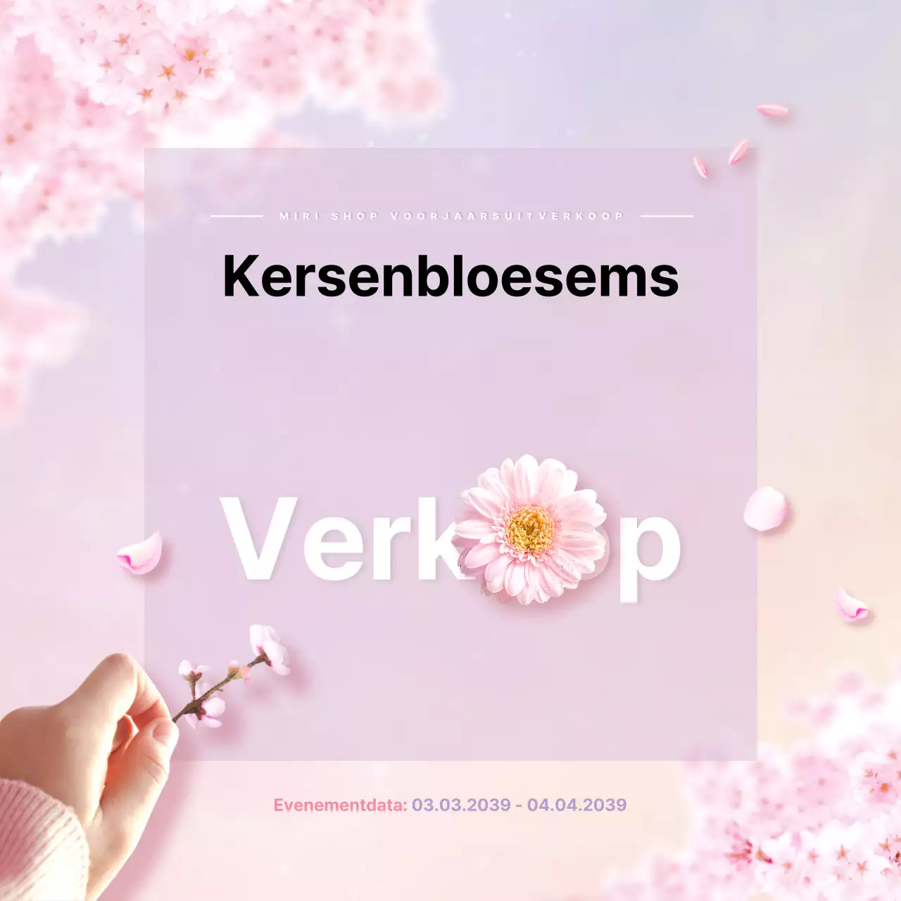 Kersenbloesem uitverkoop