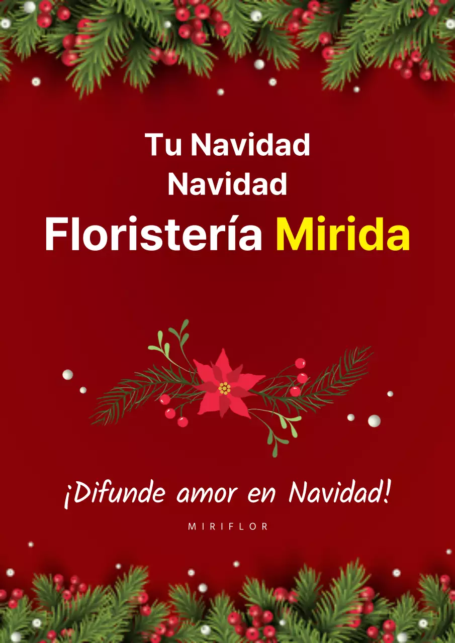42146_Navidad2