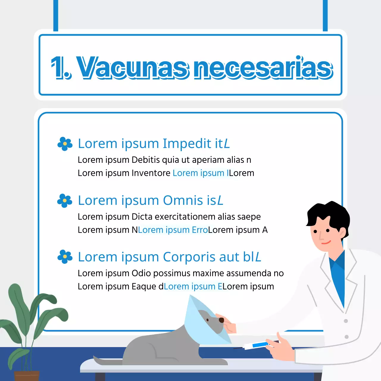 Un lindo cachorro con un fondo primaveral y consejos de salud CardNews