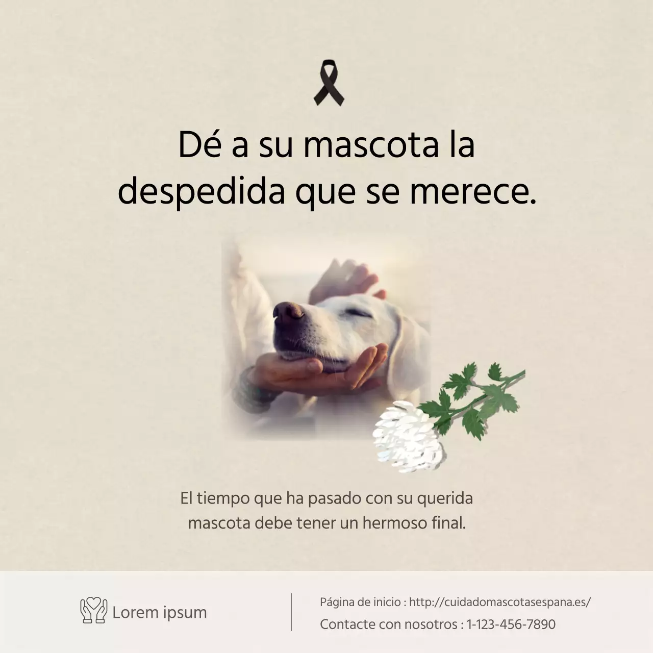 Texto limpio en marfilTarjetas para mascotasNoticias