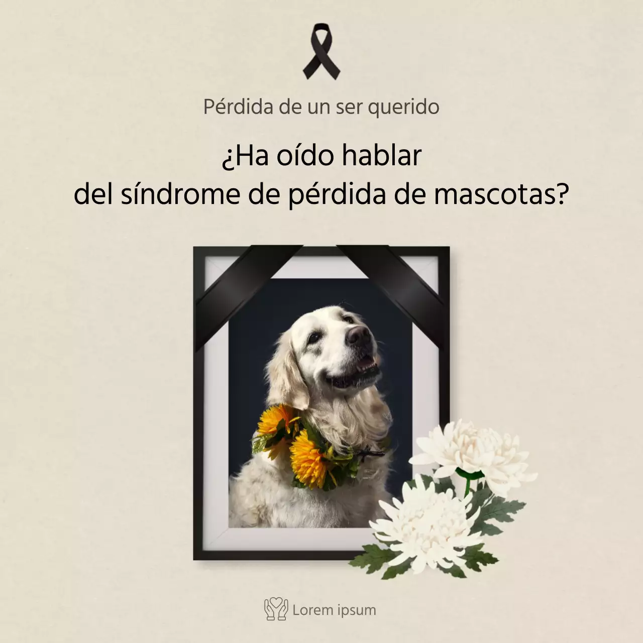 Texto limpio en marfilTarjetas para mascotasNoticias