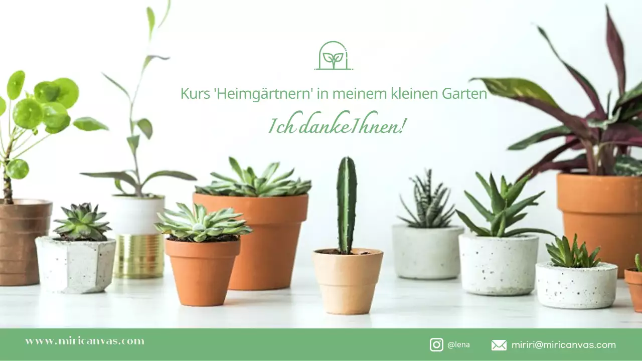 Olivgrüner, warmer Klassenvorschlag (Präsentation)