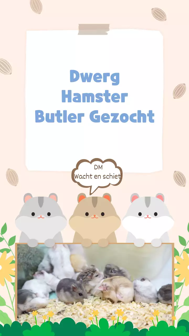 10x gezonde koekjes voor bij de koffie - Chickslovefood, image size:720x1280