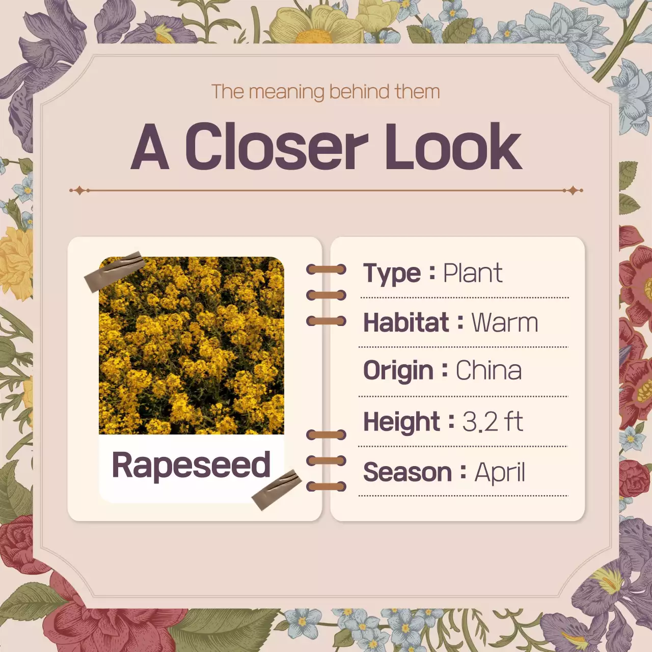 Spring flower concept of pink vintage flower full concept