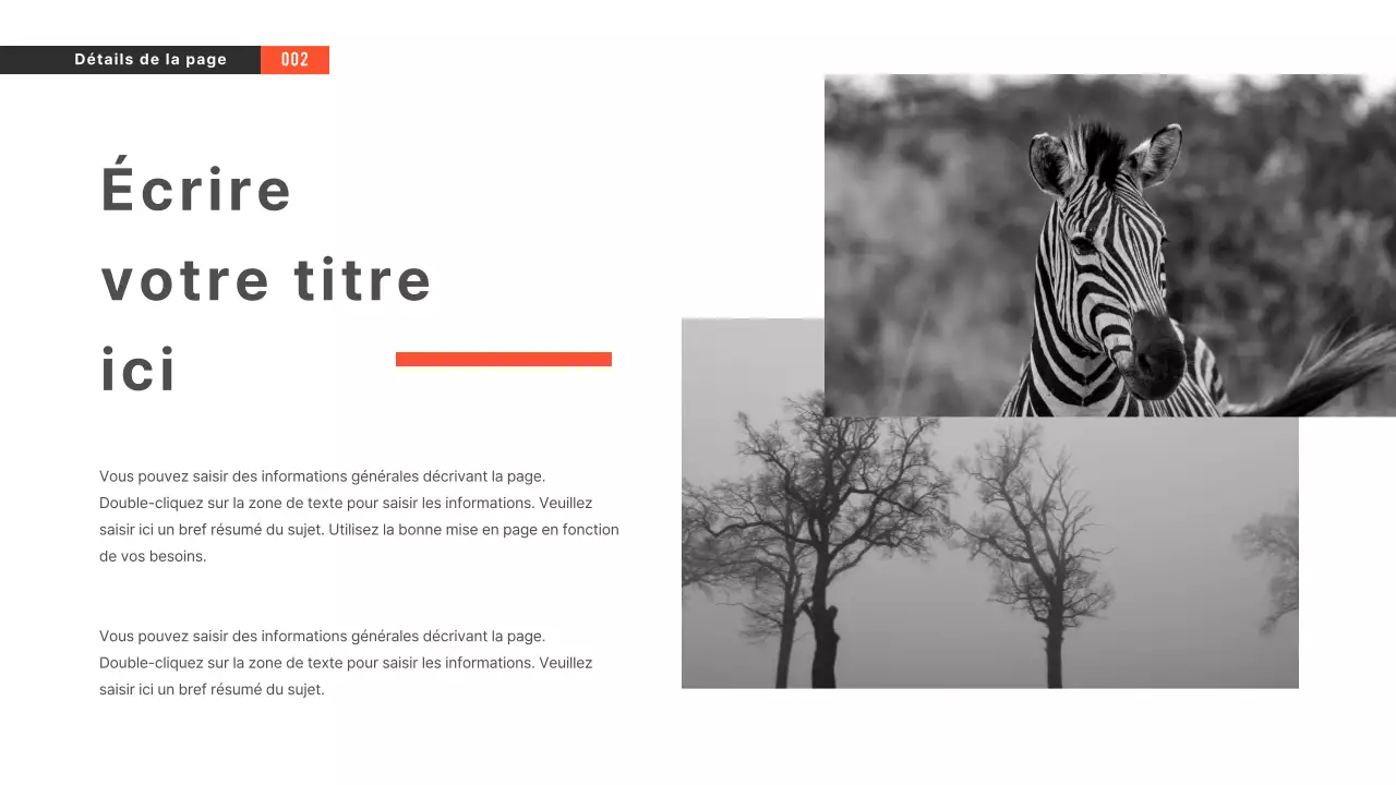 Présentations en noir et blanc