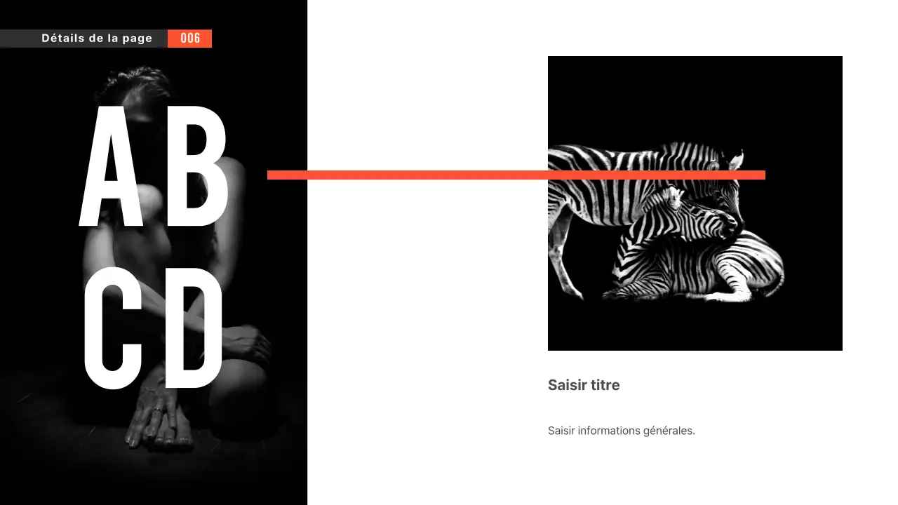 Présentations en noir et blanc