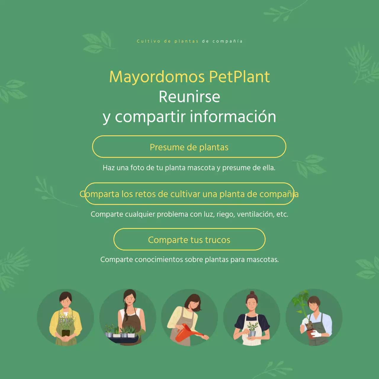 Información sobre mascotas ilustrada en verde