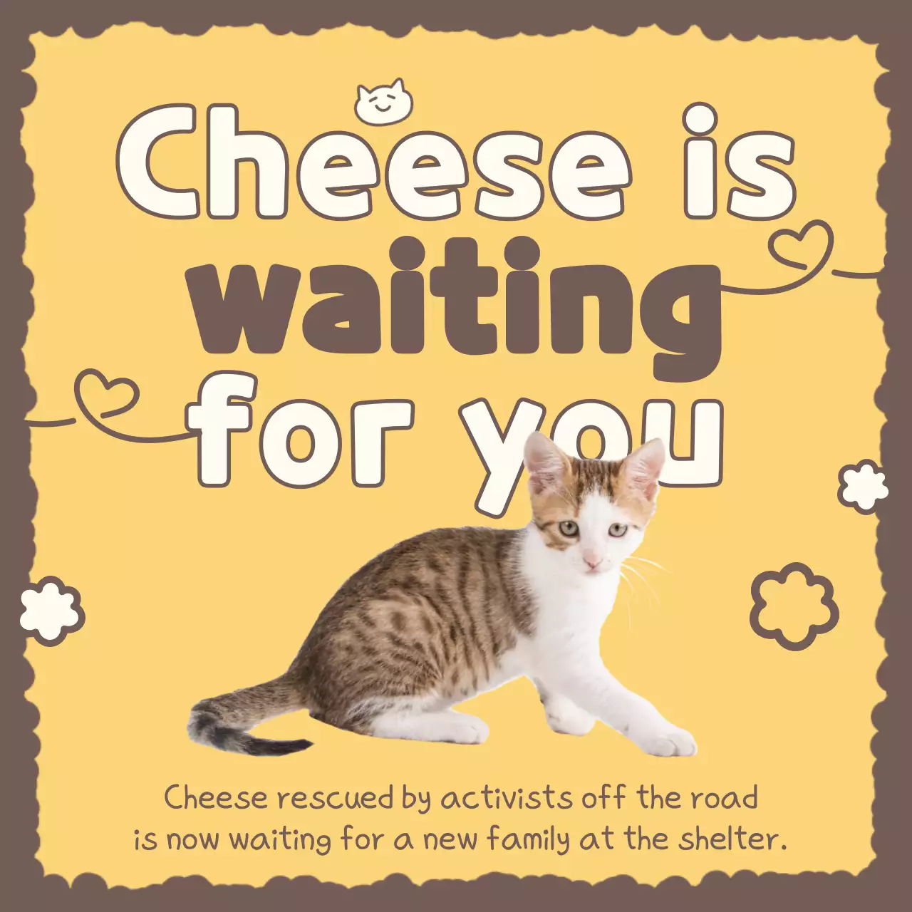 노란색 귀여운 반려동물 입양 공지 소셜 미디어 게시물