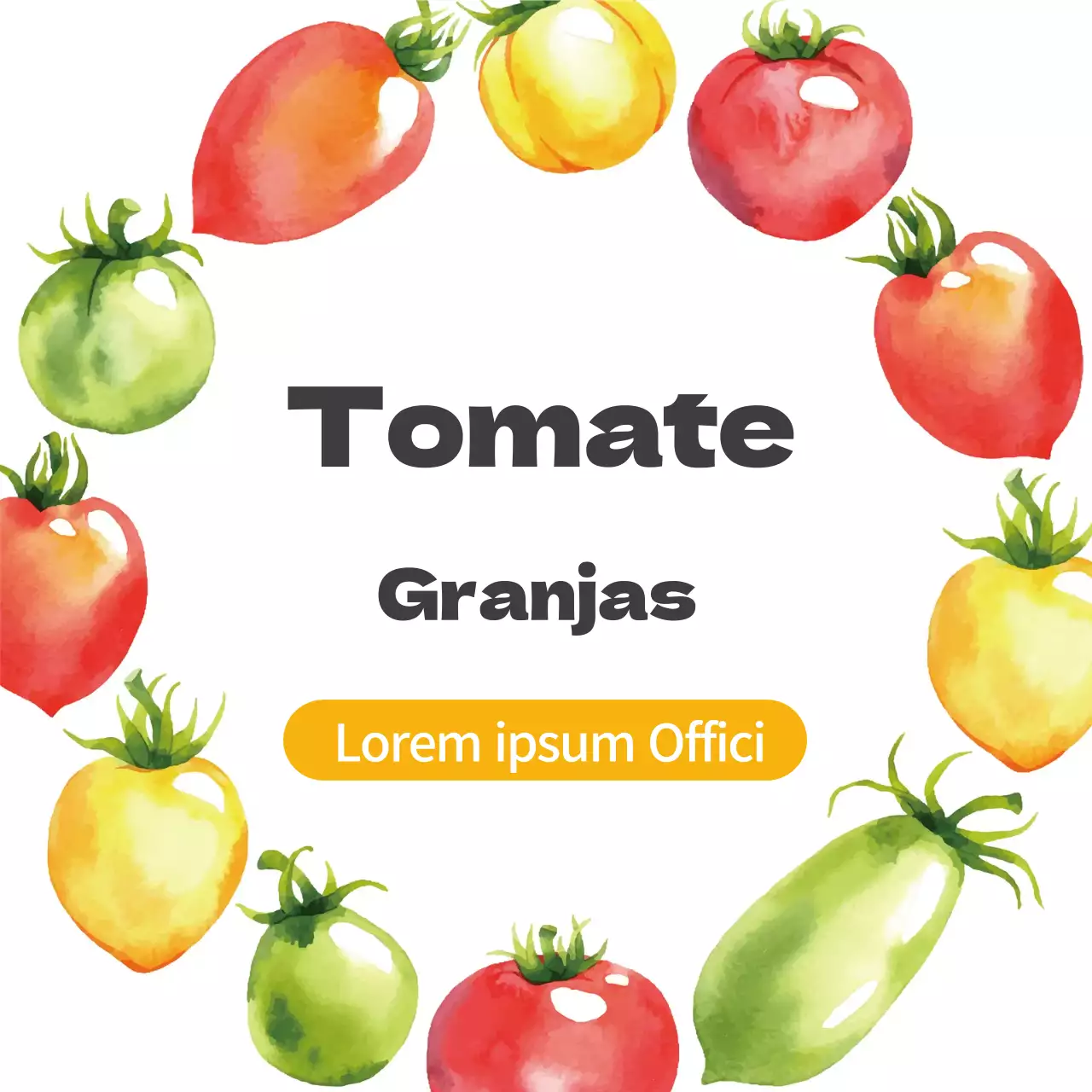 Naranja ilustración acuarela granja de productos