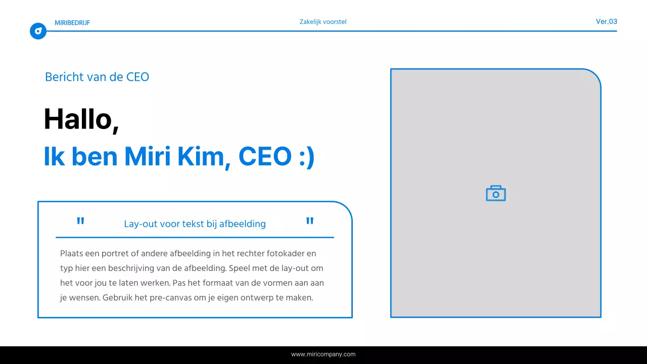 Eenvoudig blauw en wit tekstmarkeringsrapport