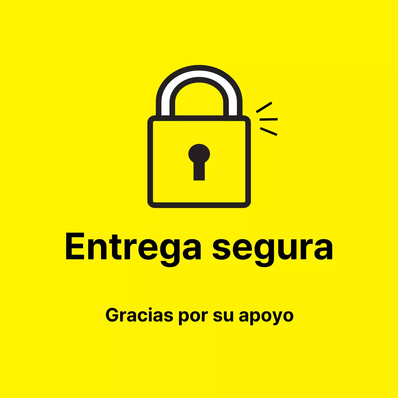 45211_Entrega segura