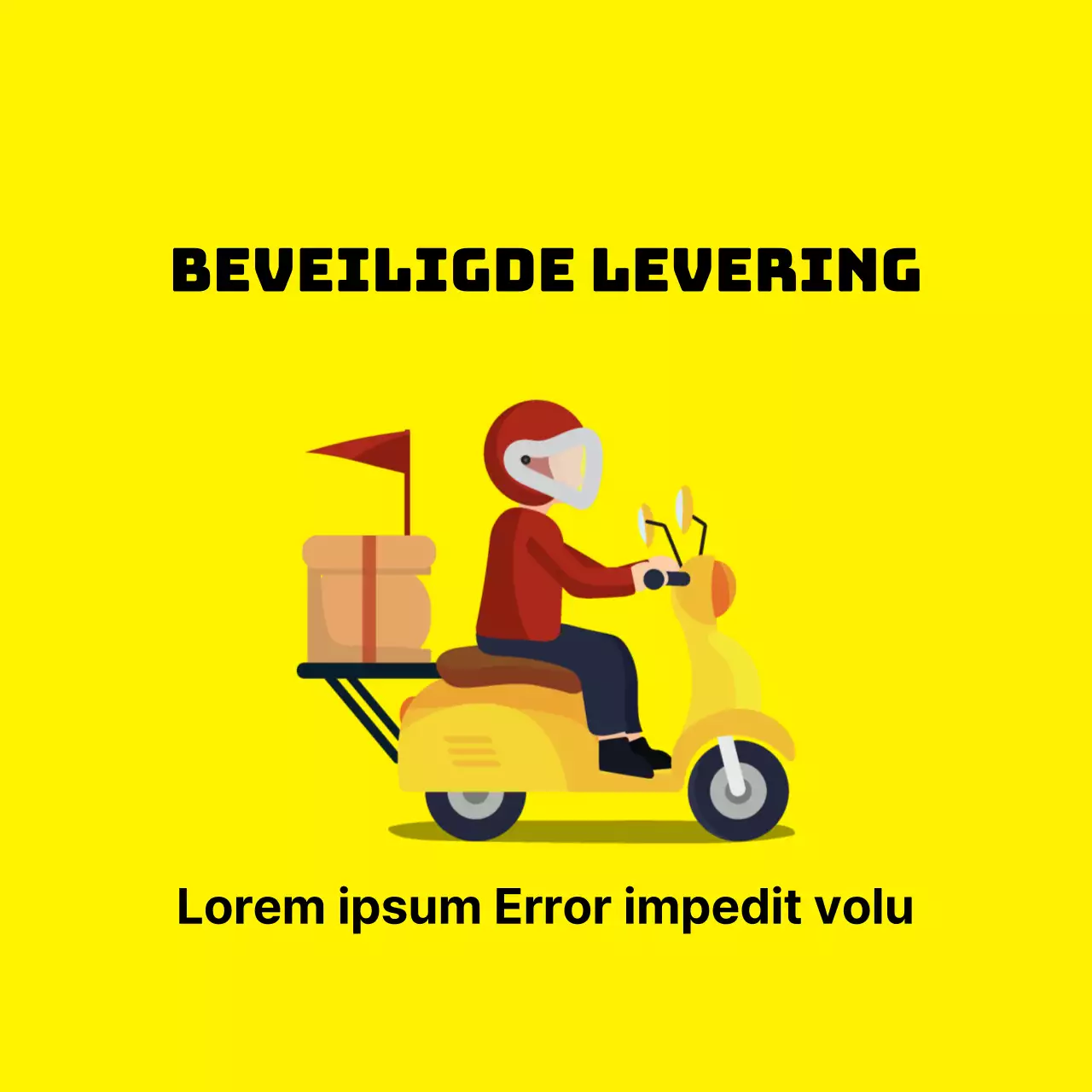 45196/Veiligde levering