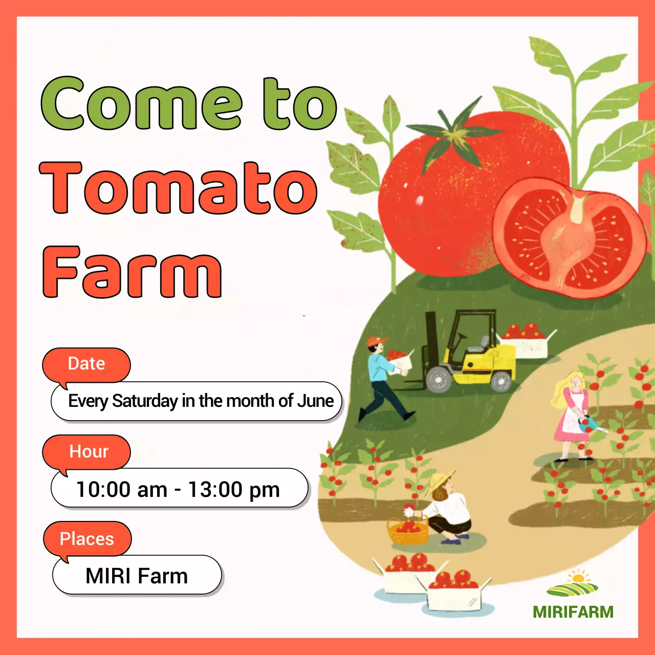 Introducing the orange illustrated tomato farm experience