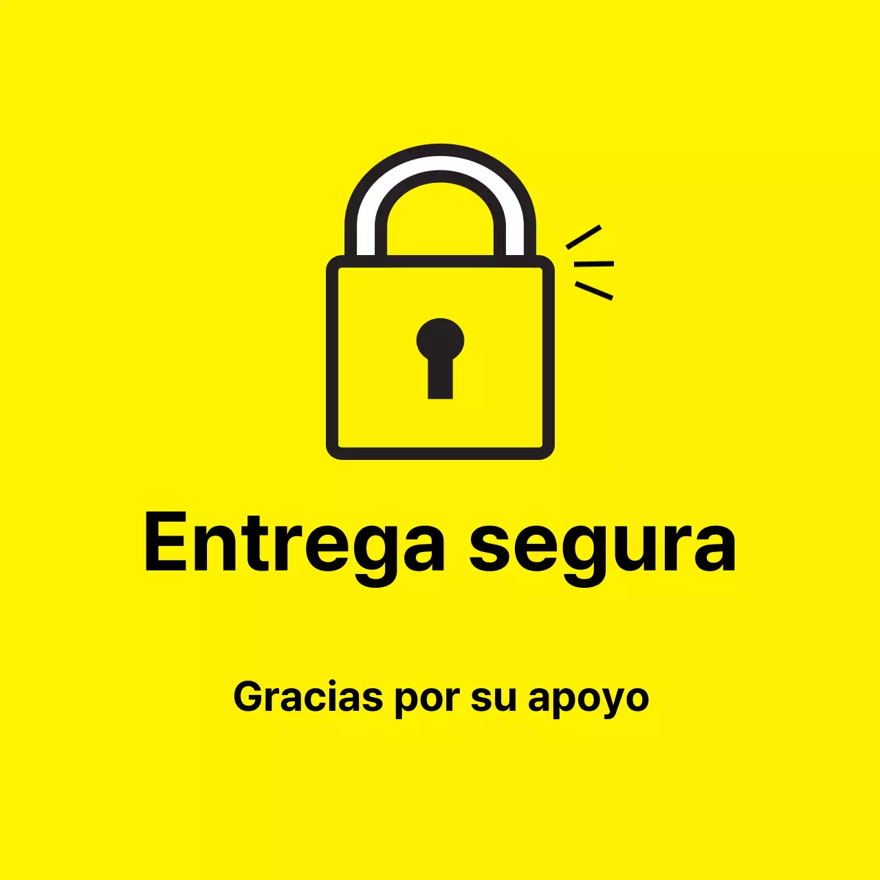 45193_Entrega segura