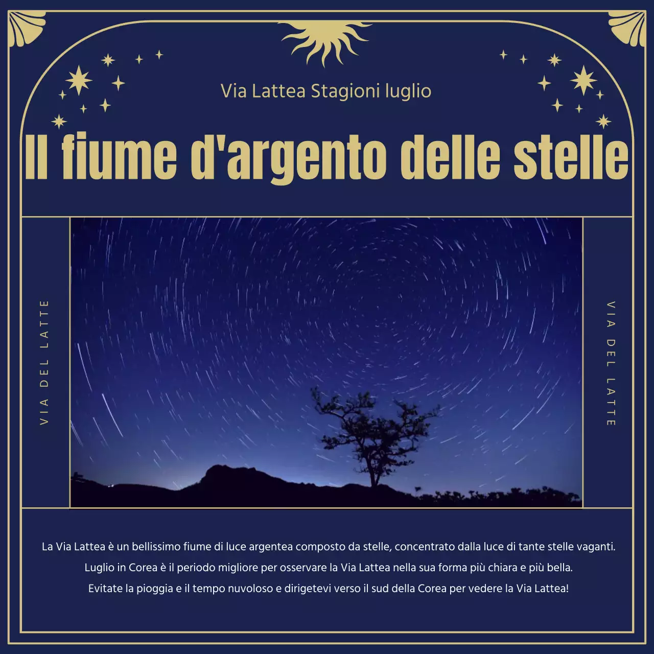 Le origini e gli oroscopi degli astri nelle mistiche illustrazioni dei tarocchi in blu navy e oro