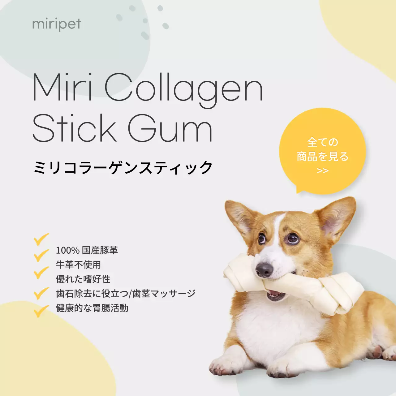 ベージュ シンプル ペット ポスター SNS投稿 正方形