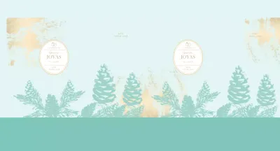 Regalo Bolsa_Joyería