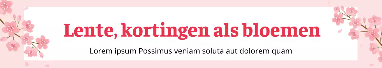 43411_Voorjaarsuitverkoop