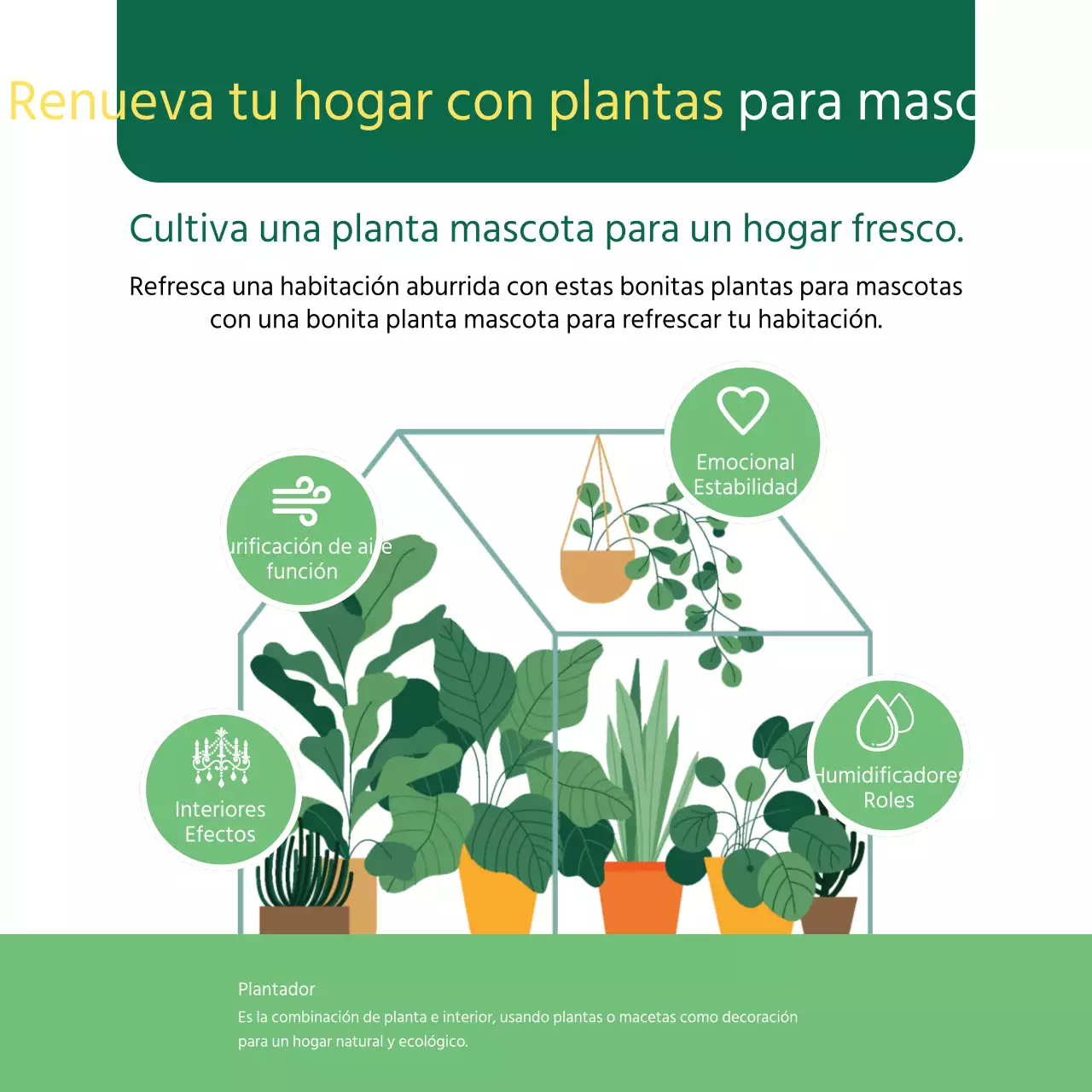 Información sobre mascotas ilustrada en verde