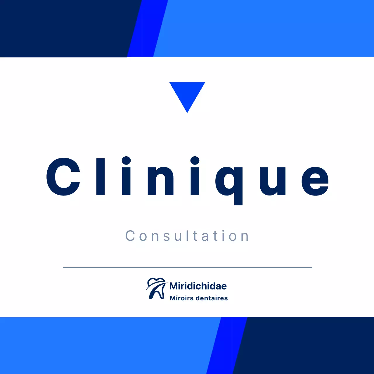 Signalisation des cliniques dans un style simple et épuré, en noir et bleu marine