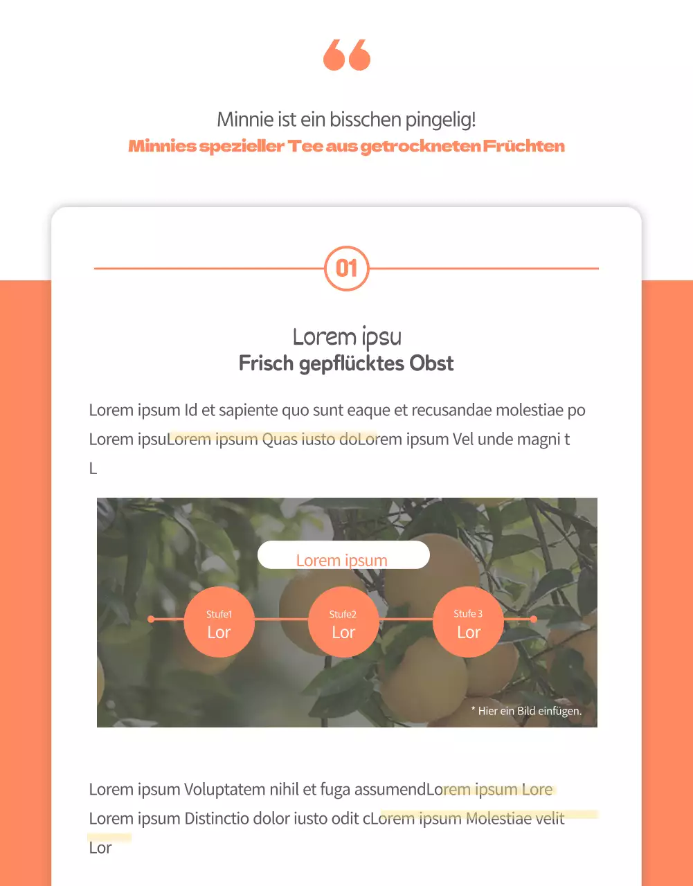 Lebensmittel_Früchtetee