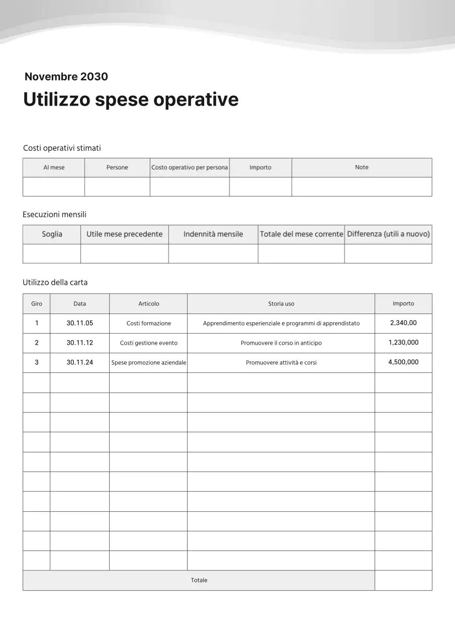 Documentazione pulita, semplice e in tonalità di grigio delle spese operative