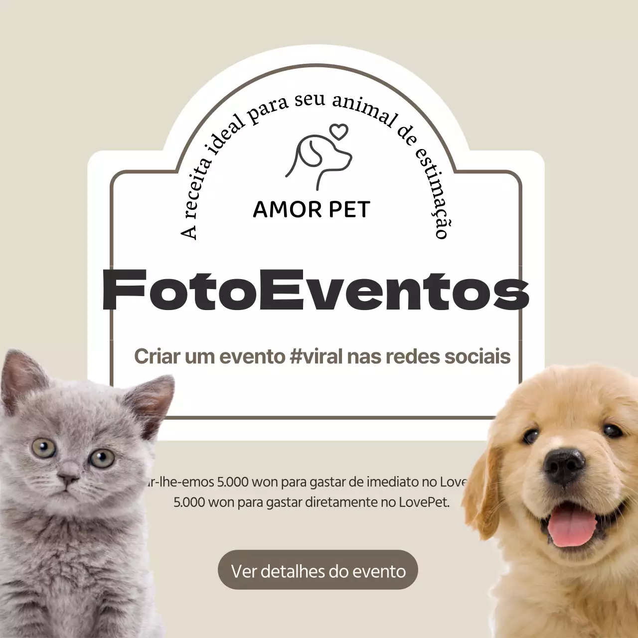 Bege Cão Pet Saúde Cevada Receita LovePet Comida Guloseimas Evento