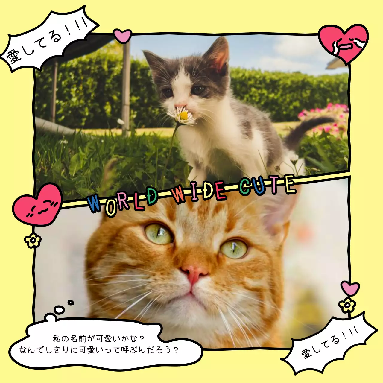 カラフル キュート 猫 ポスター SNS投稿 正方形