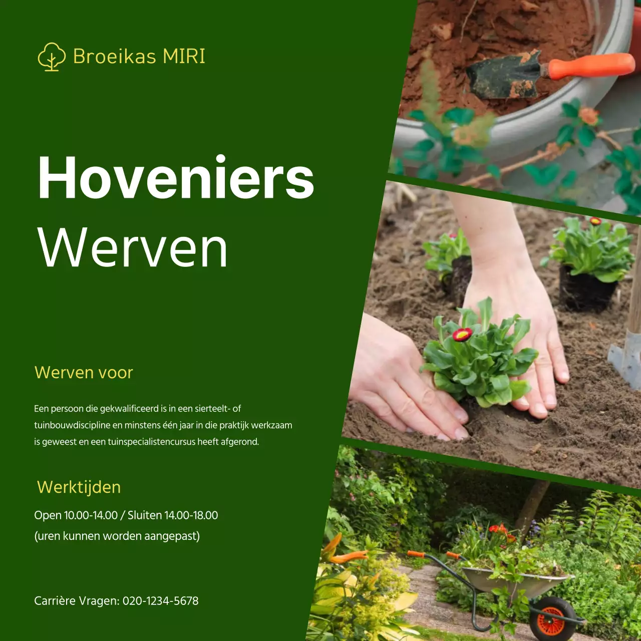 Eenvoudig concept wervingsadvertentie met groene achtergrond en fotolijst V2
