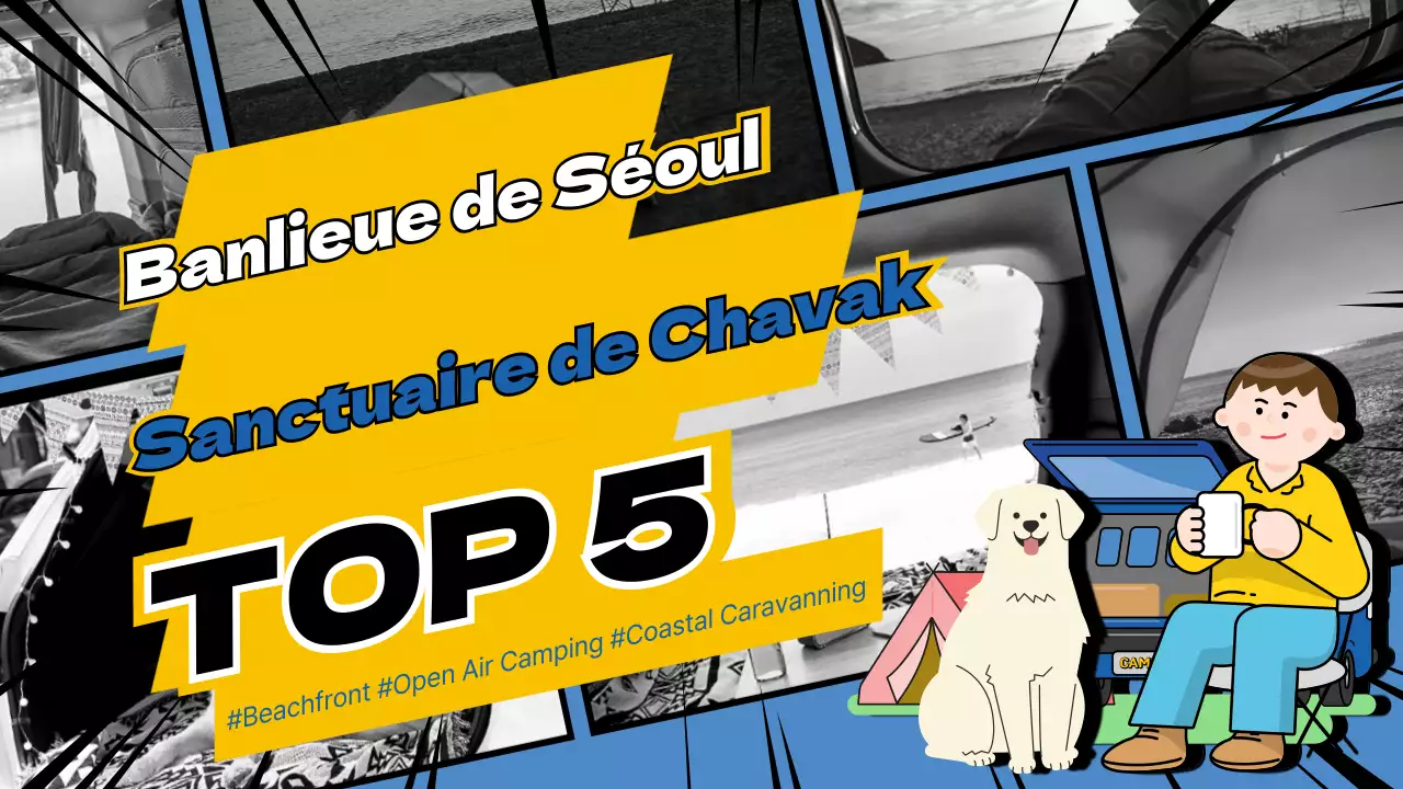 Endroits recommandés pour garer votre voiture à l'accent bleu
