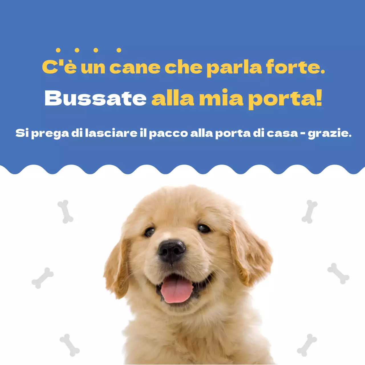 Casa blu cucciolo di cane carino