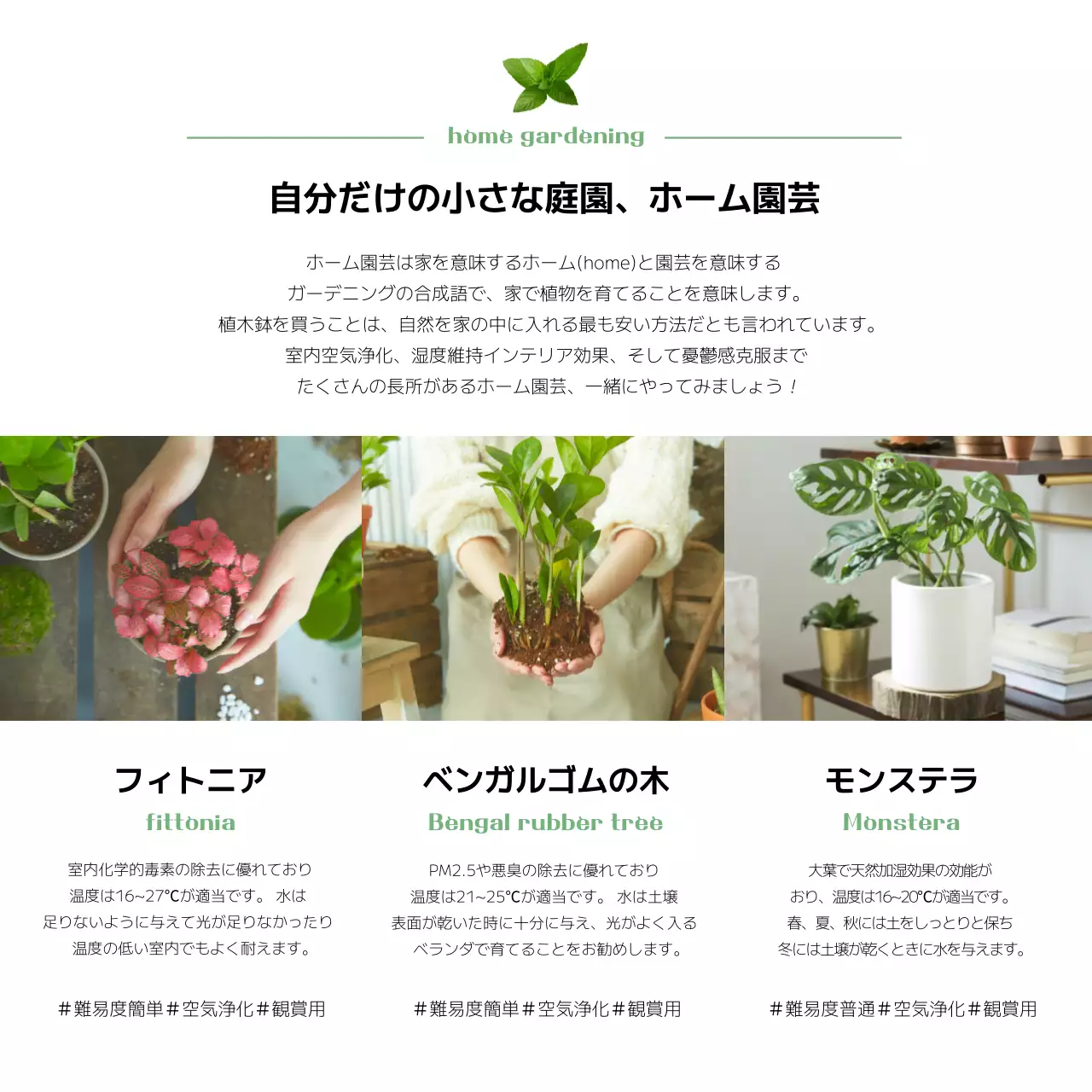 緑 シンプル ガーデニング パンフレット Instagram投稿