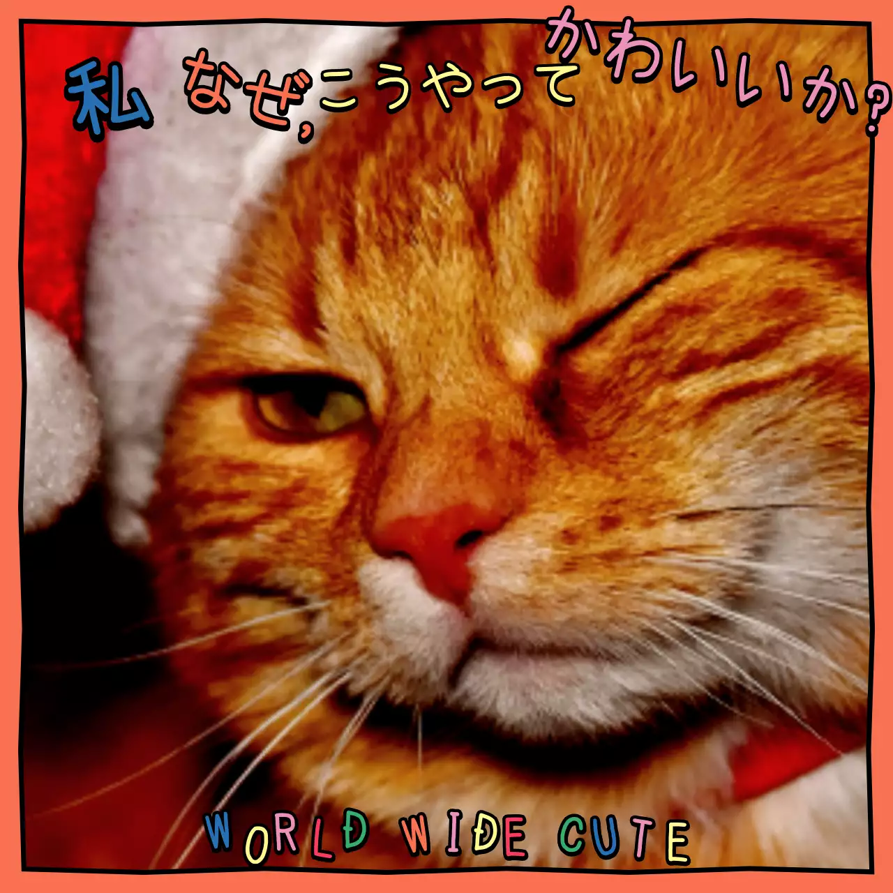 カラフル キュート 猫 ポスター SNS投稿 正方形