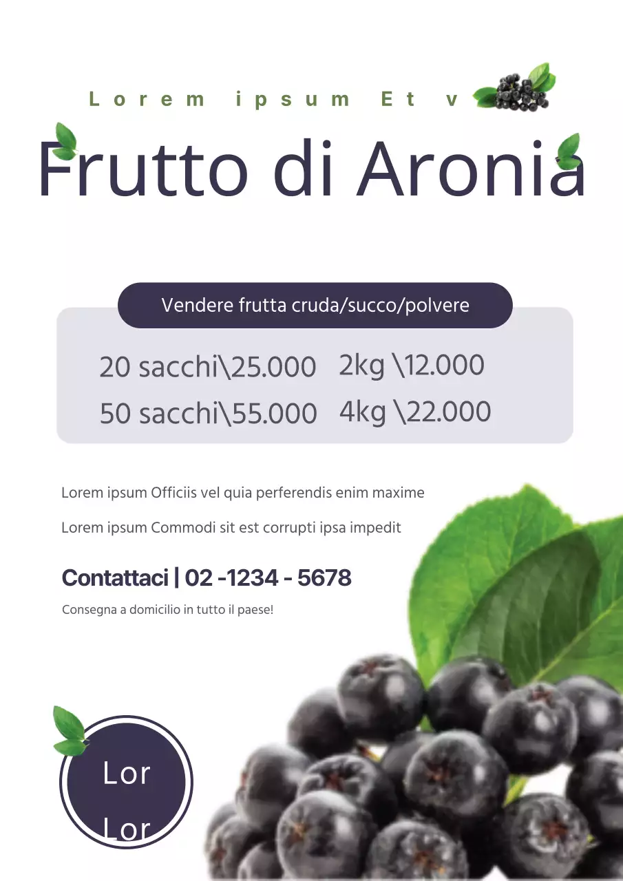 Un'ordinata spedizione di mirtilli con una foto di mirtilli viola e foglie per promuovere la vendita di mirtilli.