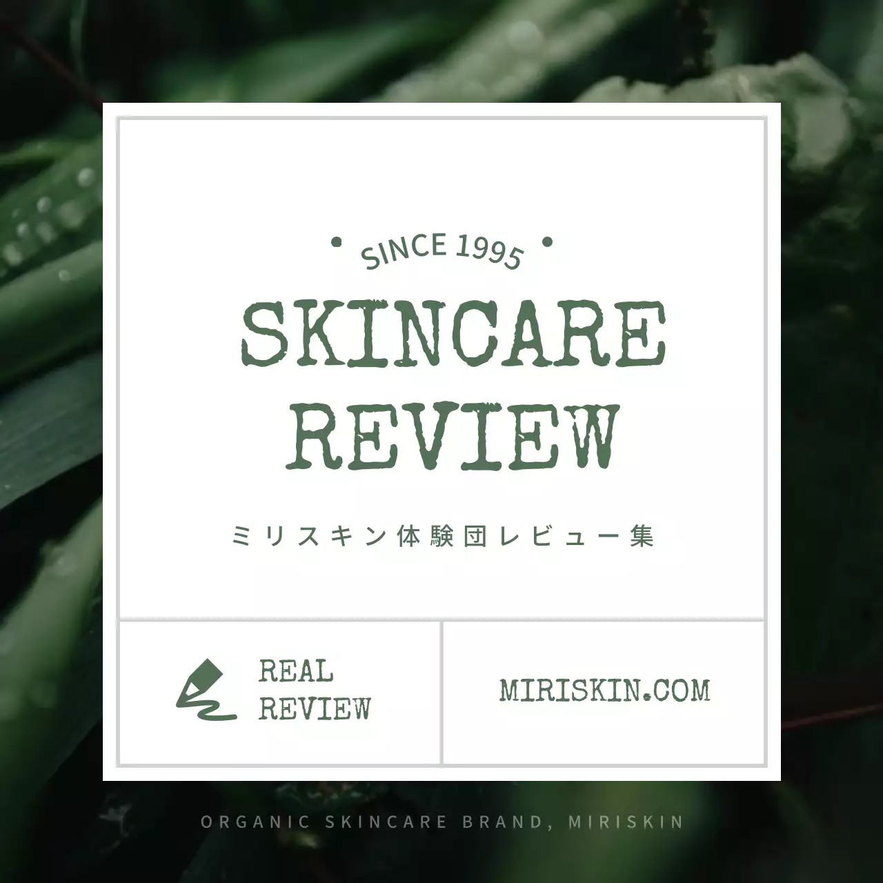 緑 シンプル スキンケア プラン Instagram カルーセル