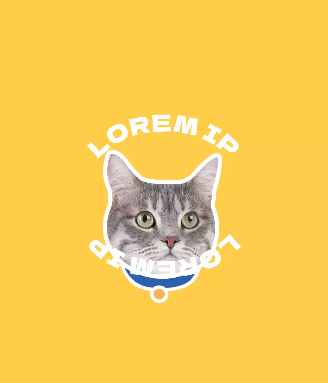 Fotografia de gato amarelo Animais de estimação