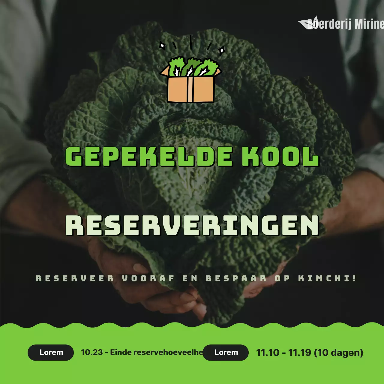 Hoe bewaar je je groene, schattige ingemaakte kool