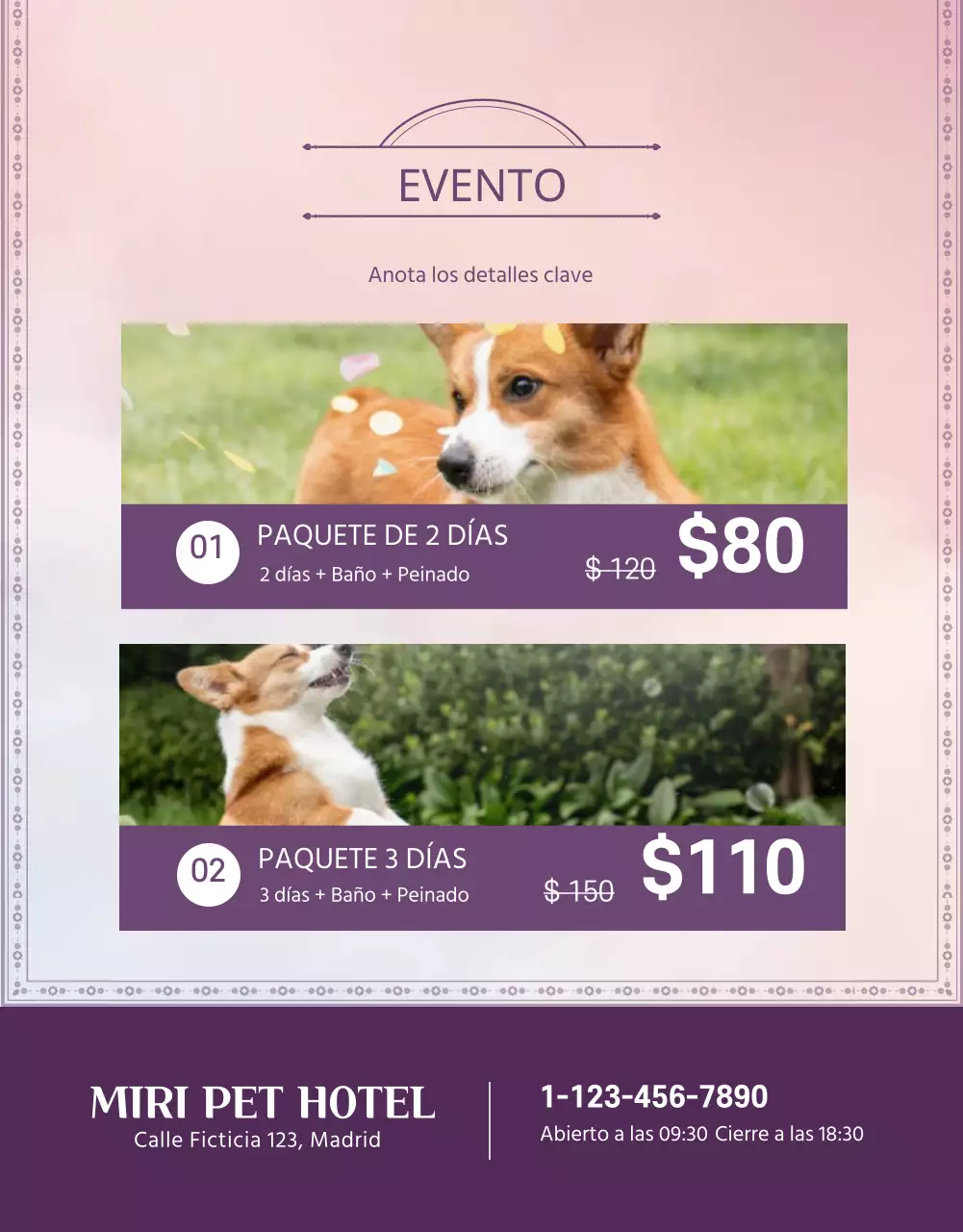 Promocione su hotel para mascotas en morado y rosa