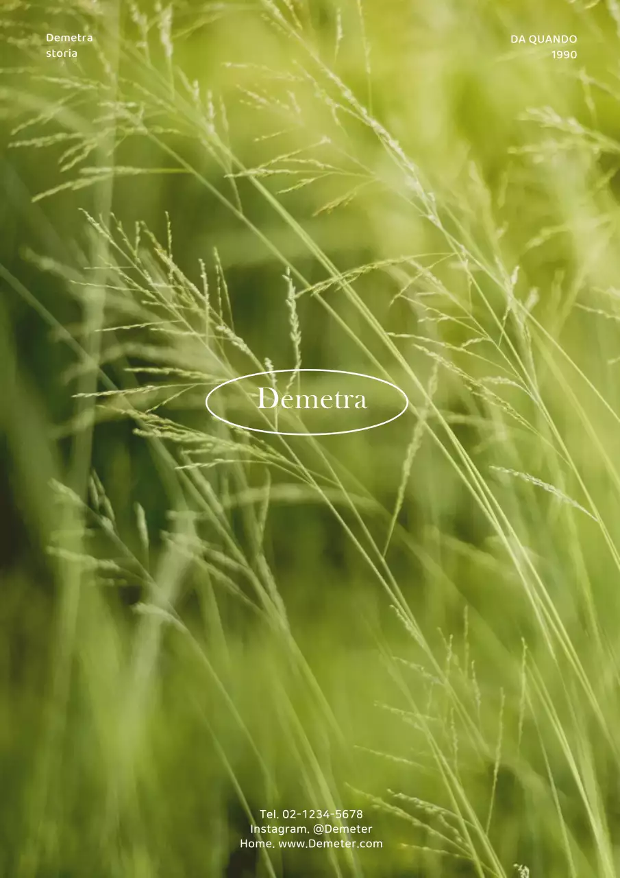 Semplice cartolina con sfondo fotografico