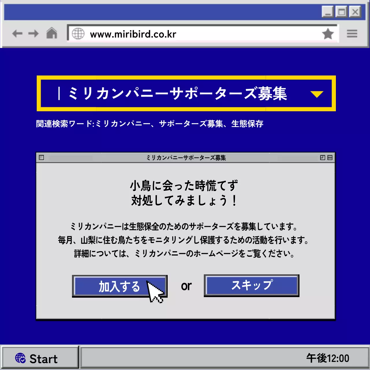 青 レトロ 小鳥 マニュアル Instagram カルーセル