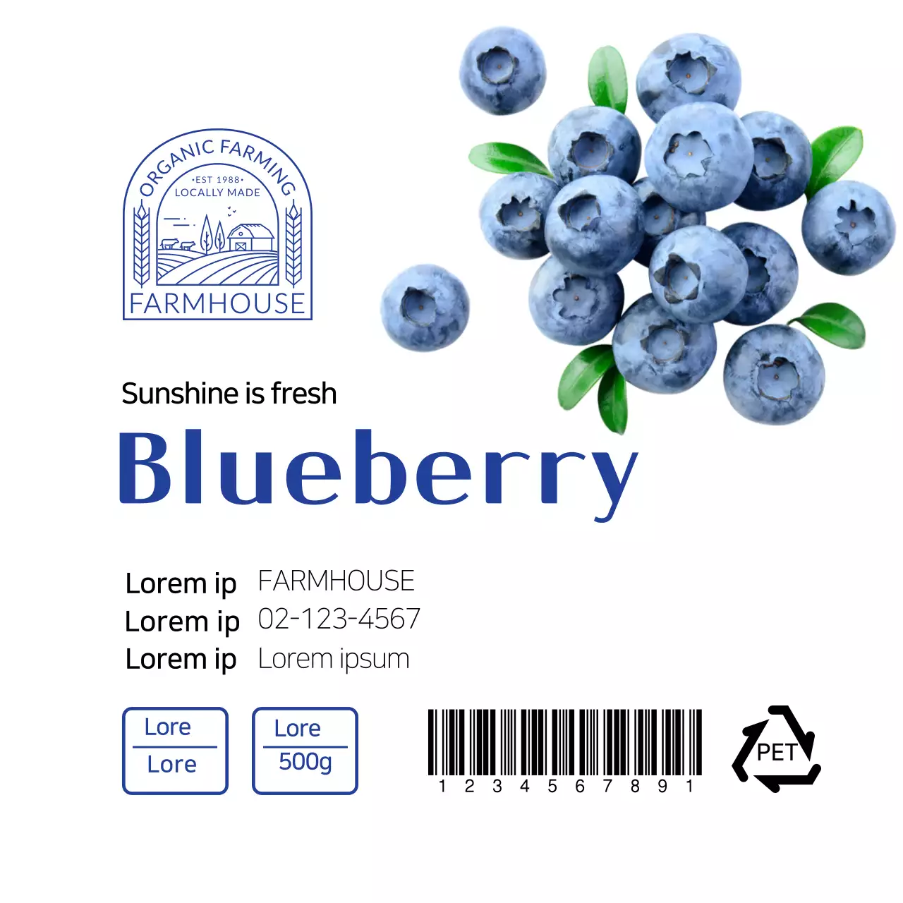 Label blueberry rapi berwarna biru putih