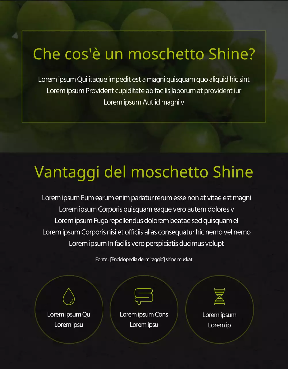 Moscato premium ad alto tenore zuccherino in nero e verde per la promozione delle vendite per la raccolta di fondi Agricoltori locali Piccole imprese alimentari locali
