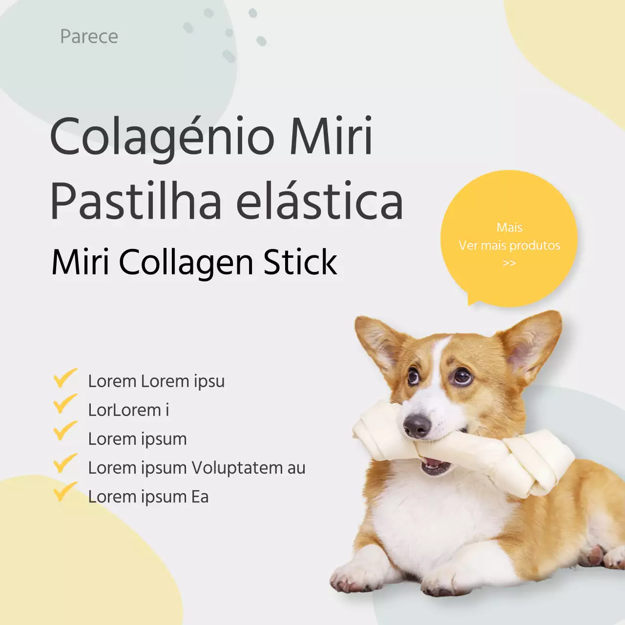 Alertas informativos para cães em tons pastel