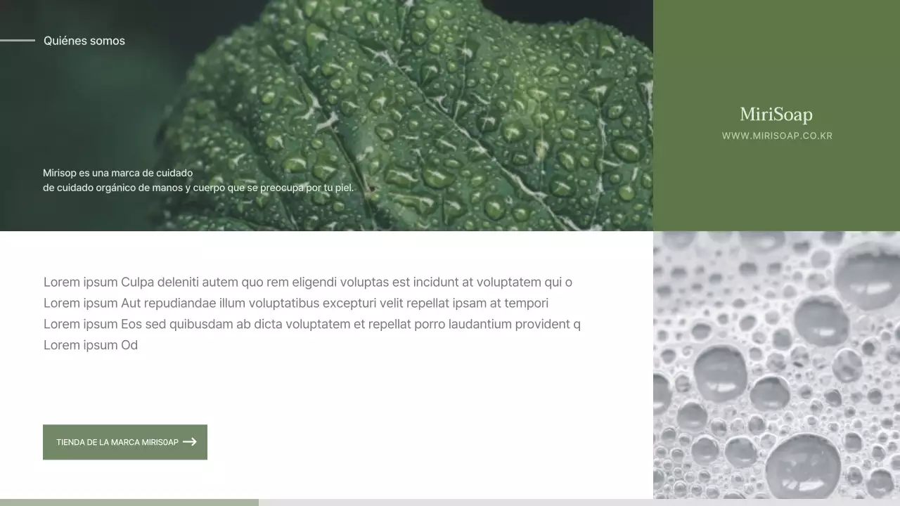 Propuesta de entrada para un jabón de concepto naturalista verde y beige