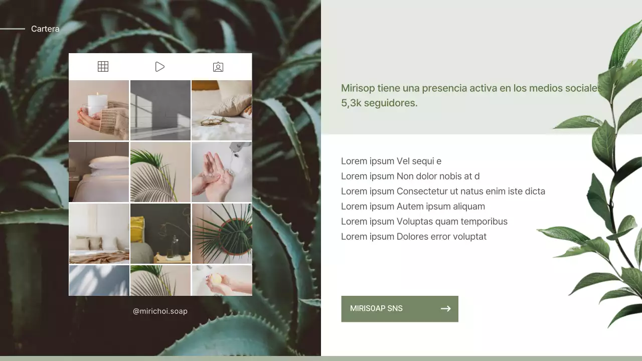 Propuesta de entrada para un jabón de concepto naturalista verde y beige
