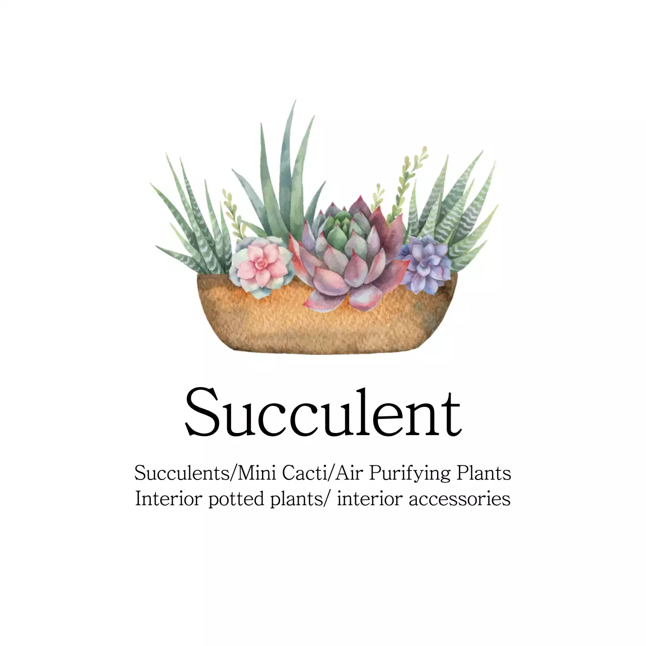 Green Botanical Succulents Guide Instagram Post