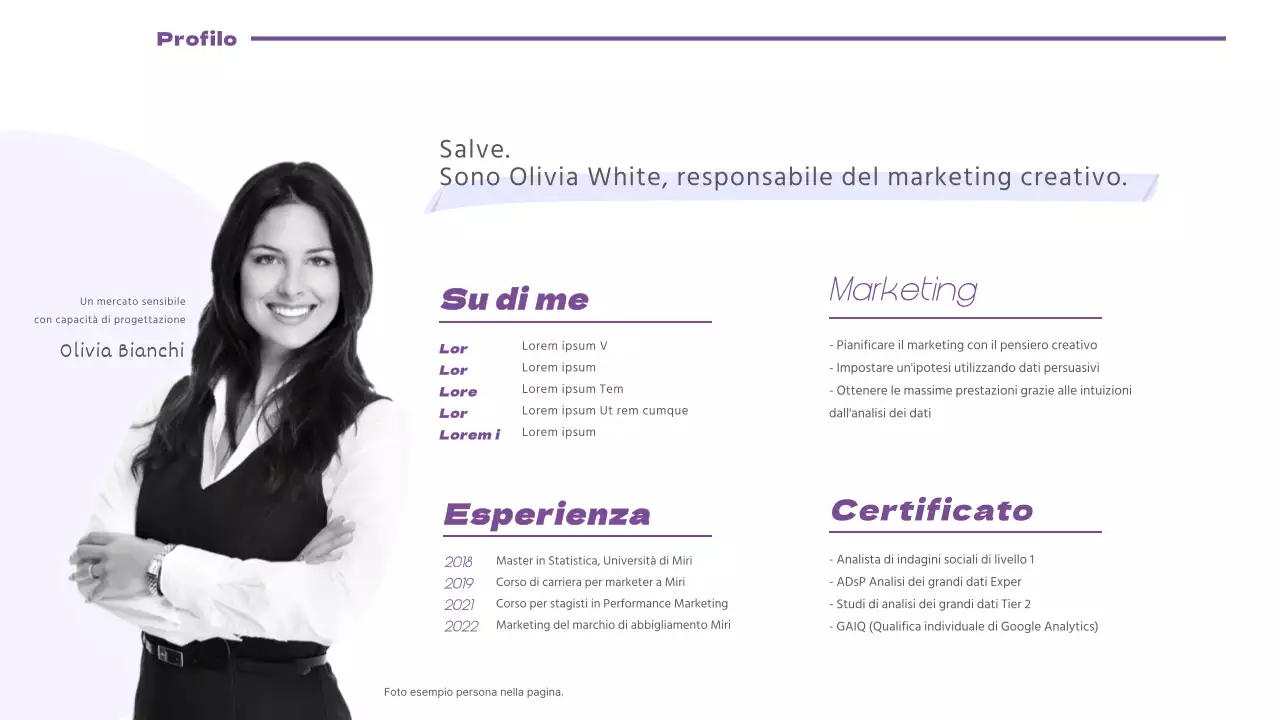 Un portafoglio di marketing pulito