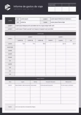 Informes de gastos de viaje sencillos en negro y gris