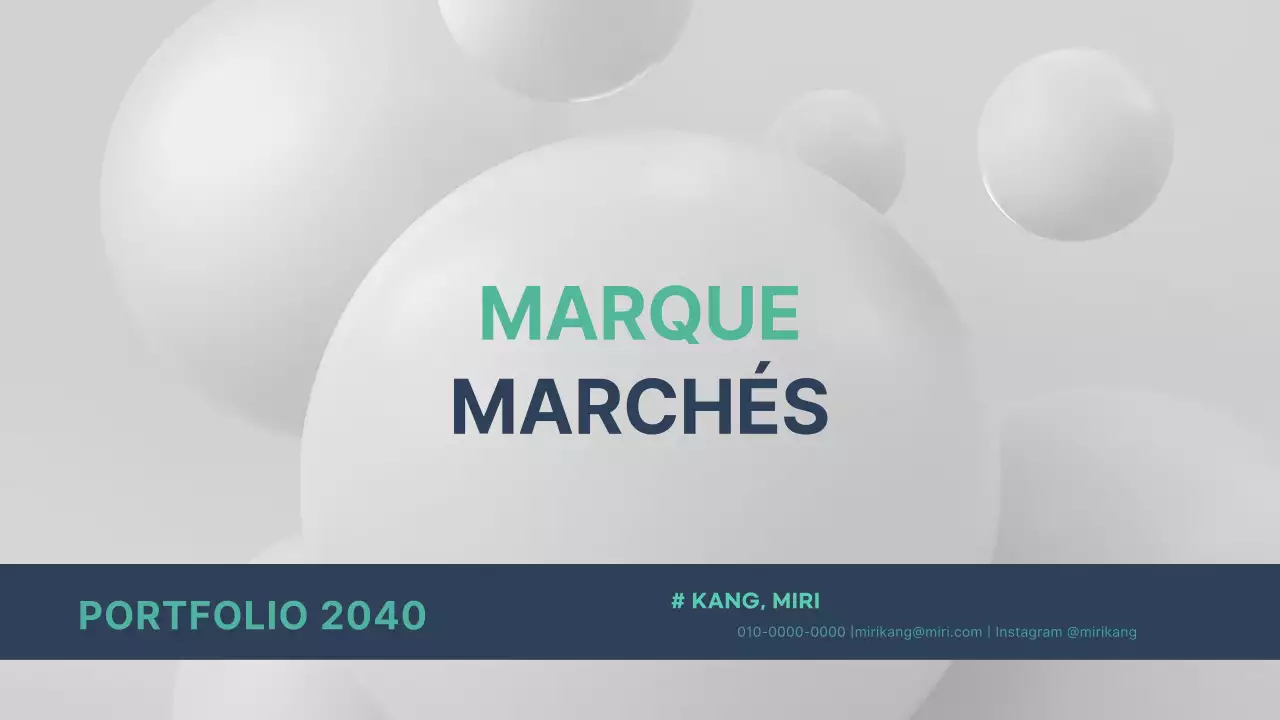 Portefeuille simple d'un spécialiste du marketing avec des images 3D de menthe et de bleu marine